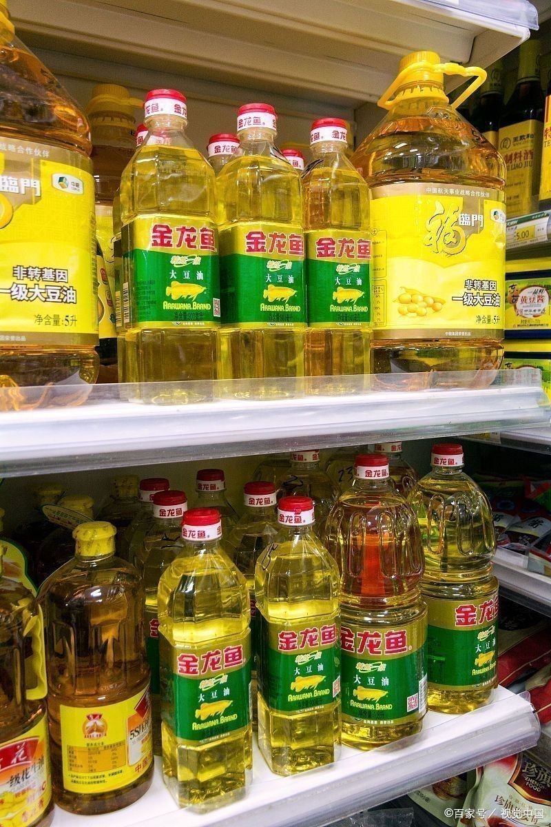 金龍魚有哪些主要產品