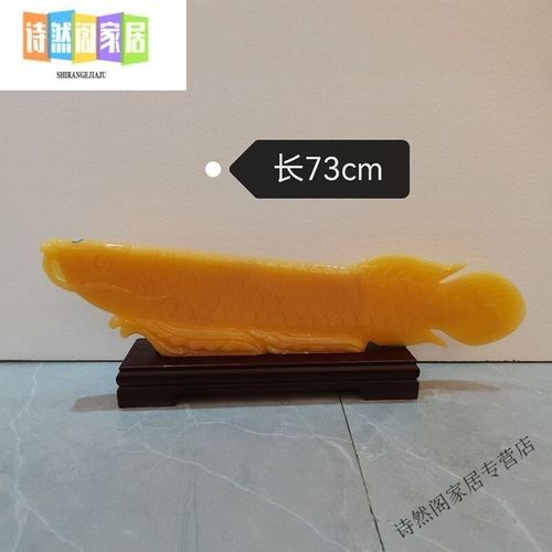 黃龍魚和金龍魚一樣嗎圖片對比