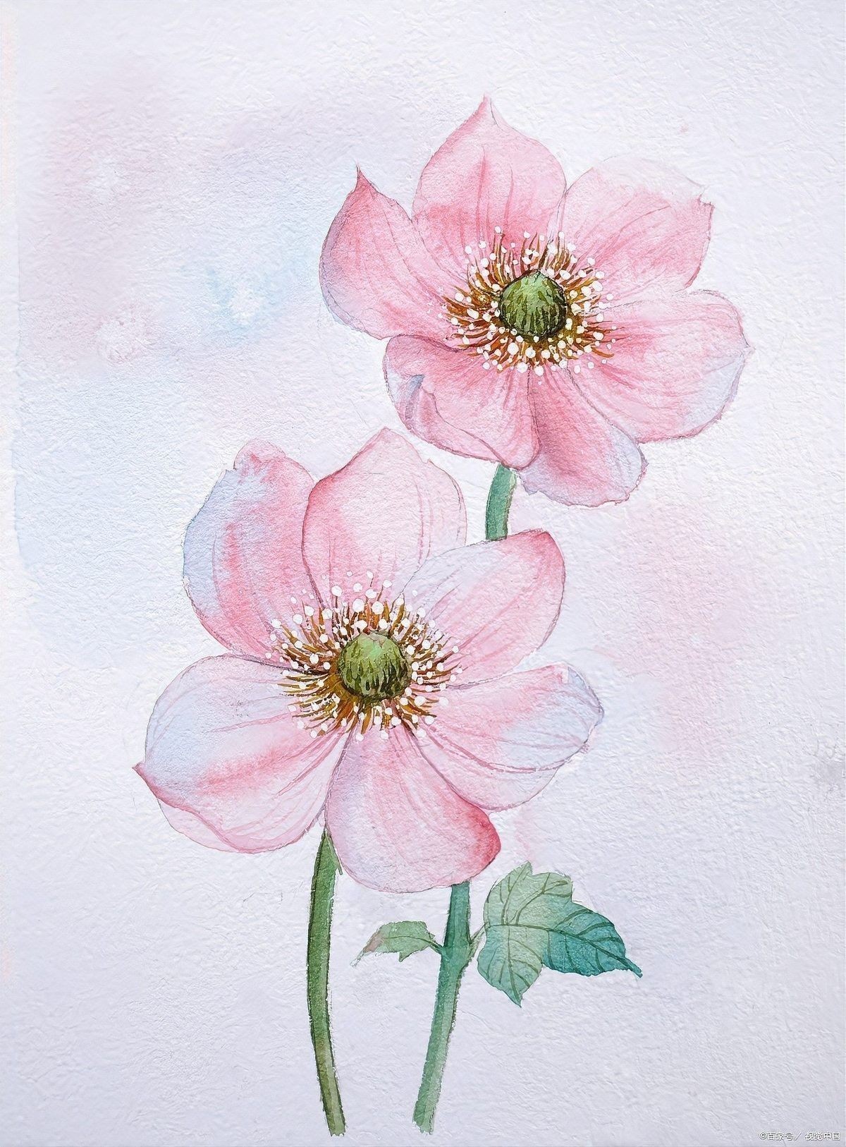 黃金龍的水彩畫風格有何特點？