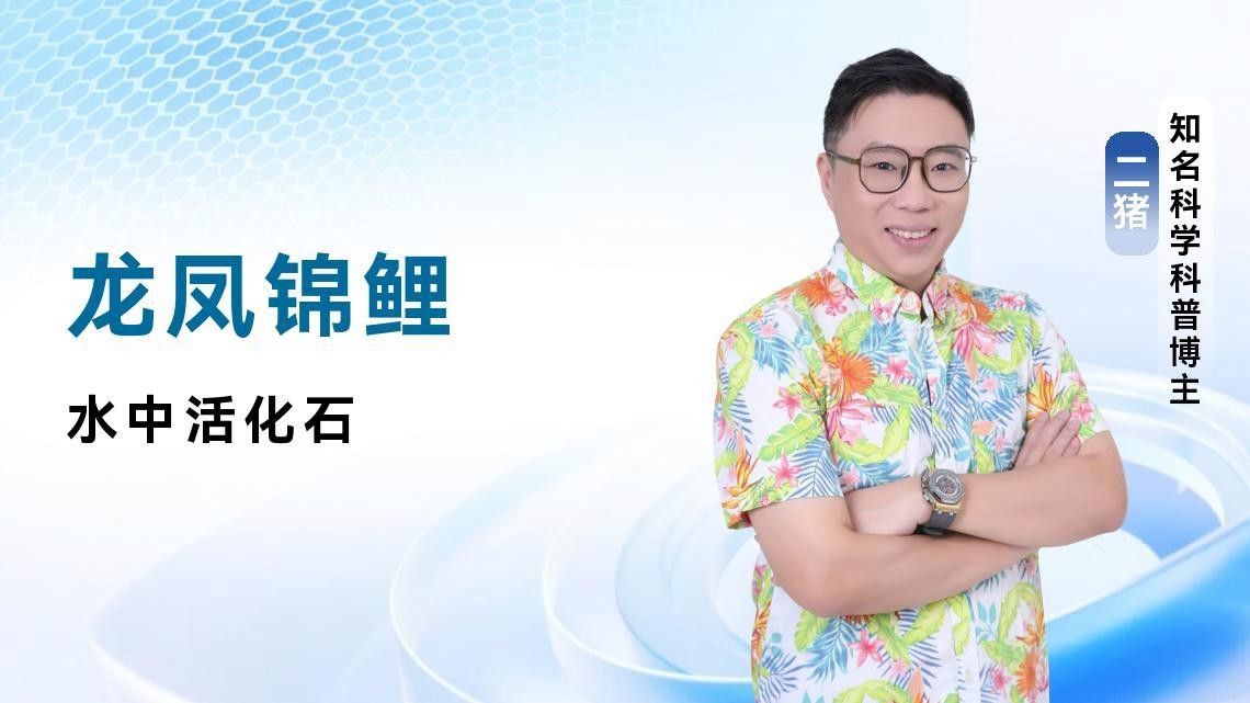 龍鳳魚哪個(gè)品種最稀有？ 龍鳳魚哪個(gè)品種最稀有？ 龍魚百科 第3張