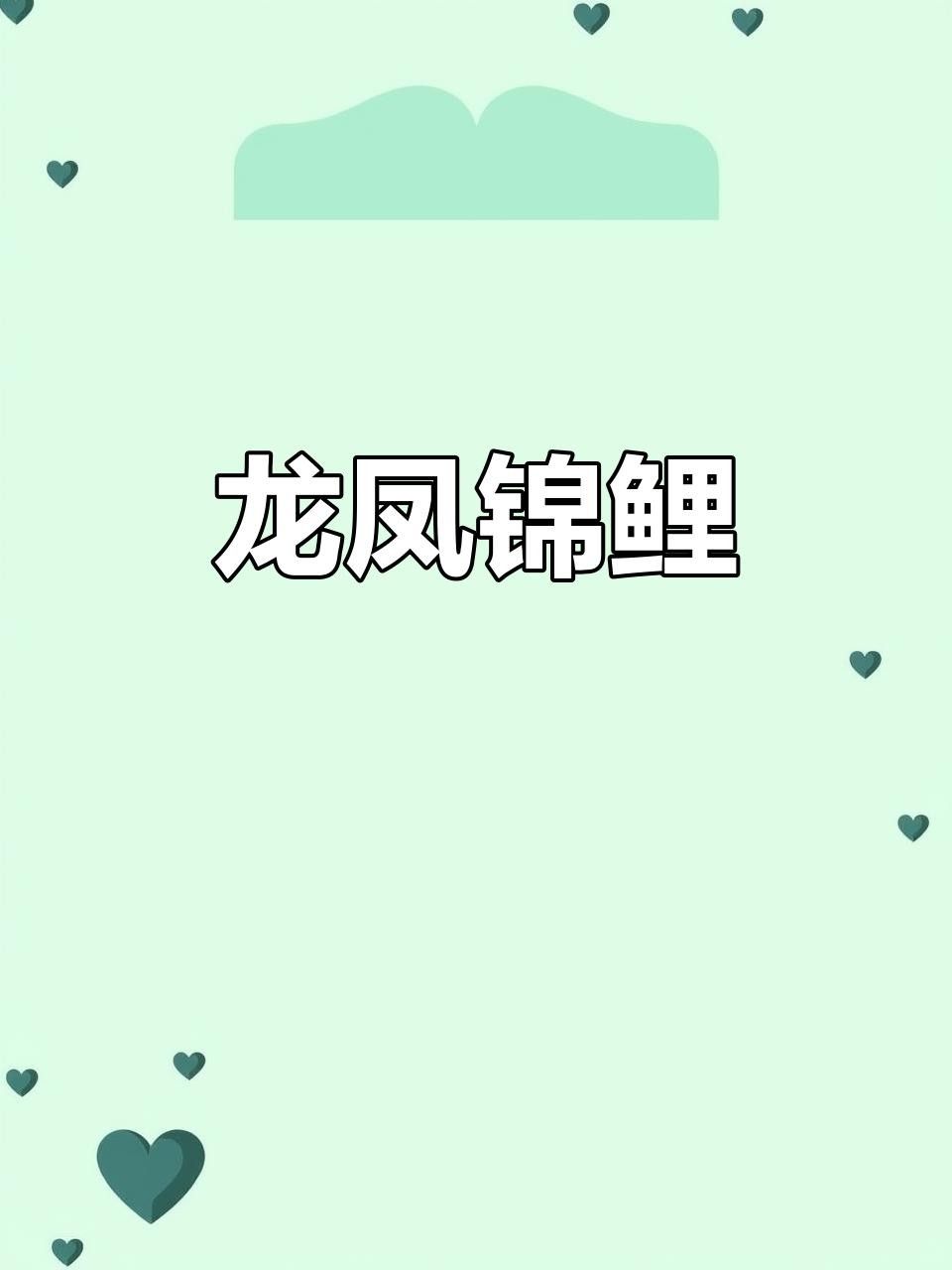 龍鳳魚哪個(gè)品種最稀有？ 龍鳳魚哪個(gè)品種最稀有？ 龍魚百科 第1張