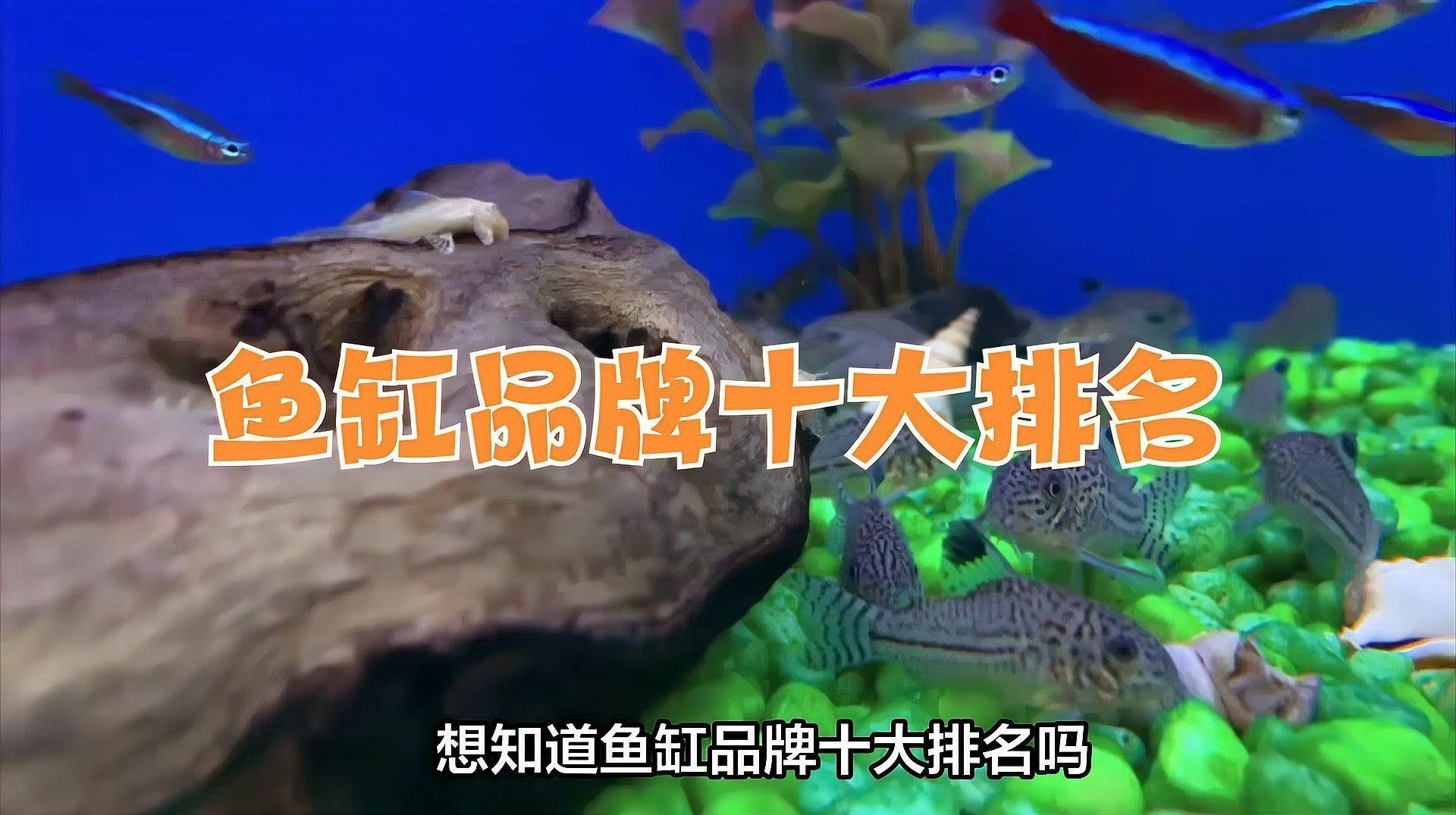 森森和閩江哪個品牌更好？