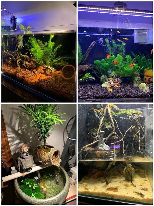 森森和閩江哪個品牌更好？