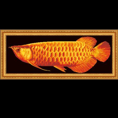 送金龍魚十字繡的寓意和象征：送金龍魚十字繡的寓意和象征金龍魚十字繡的寓意和象征 送金龍魚十字繡的寓意和象征：送金龍魚十字繡的寓意和象征金龍魚十字繡的寓意和象征 龍魚百科 第2張