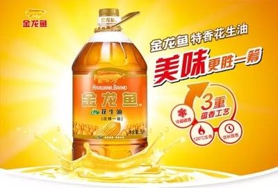紅龍魚怎么養方法介紹一下呢視頻教程（紅龍魚怎么養方法介紹一下呢視頻教程下載）