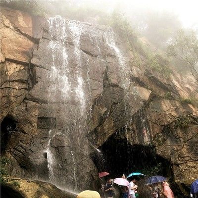 金龍魚發源地：關于金龍魚的發源地