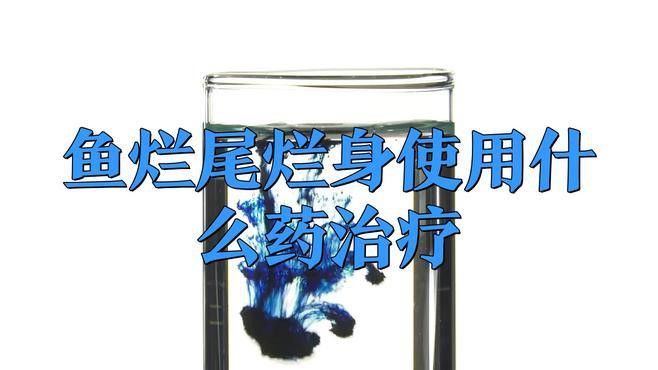 龍魚爛尾初期如何治療？ 龍魚爛尾初期如何治療？ 龍魚百科 第8張