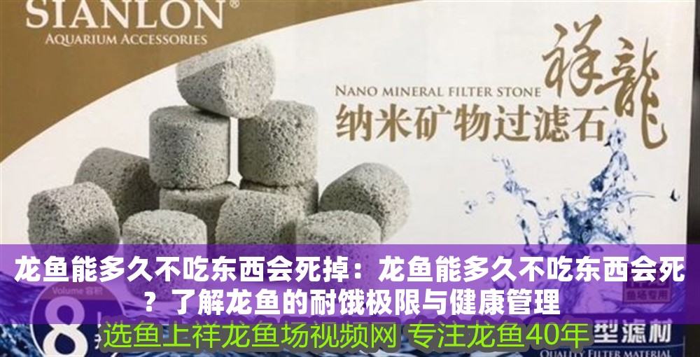 龍魚(yú)能多久不吃東西會(huì)死掉：龍魚(yú)能多久不吃東西會(huì)死？了解龍魚(yú)的耐餓極限與健康管理