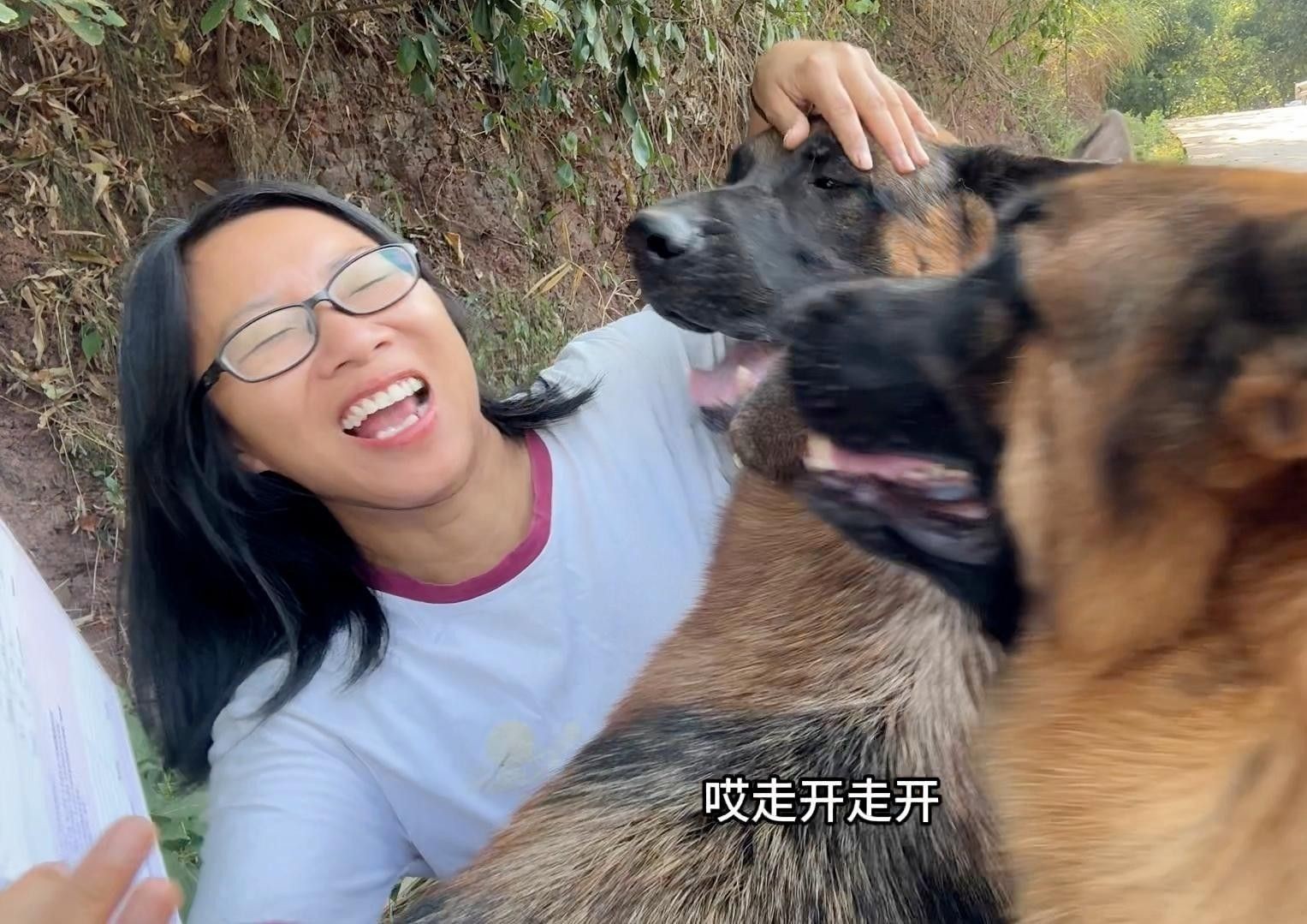 龍魚血統證書費用是多少？