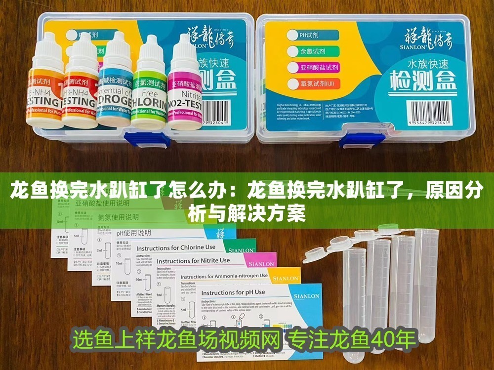 龍魚換完水趴缸了怎么辦：龍魚換完水趴缸了，原因分析與解決方案