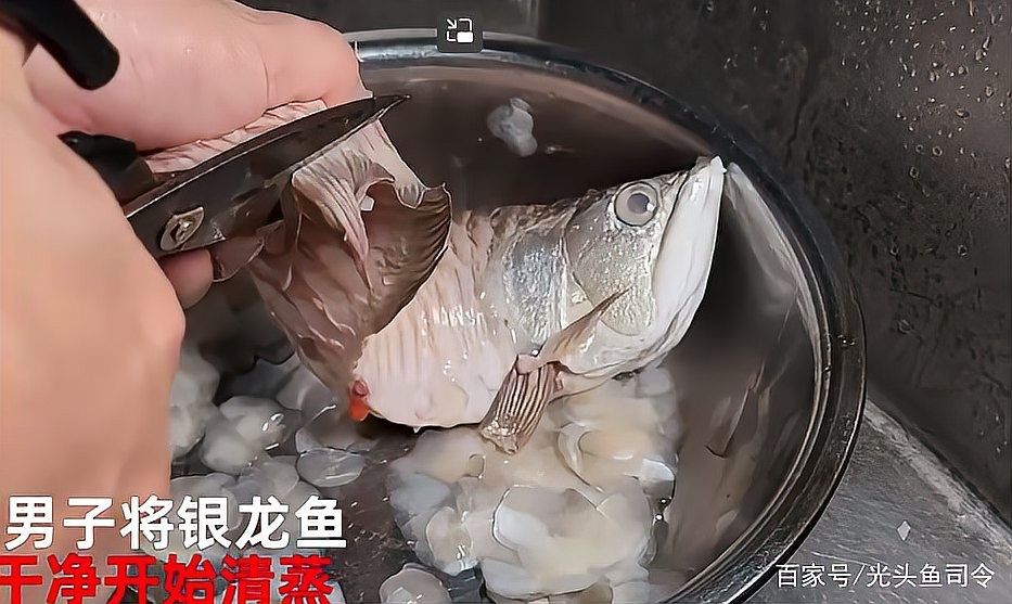 銀龍魚清蒸好吃還是紅燒好吃