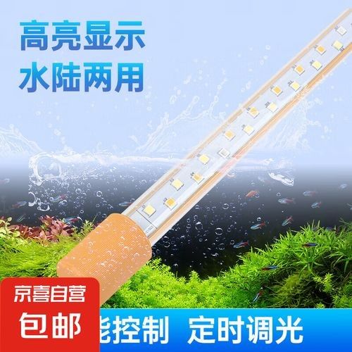 龍魚全光譜專業用燈有哪些型號？ 龍魚全光譜專業用燈有哪些型號？ 龍魚百科 第6張