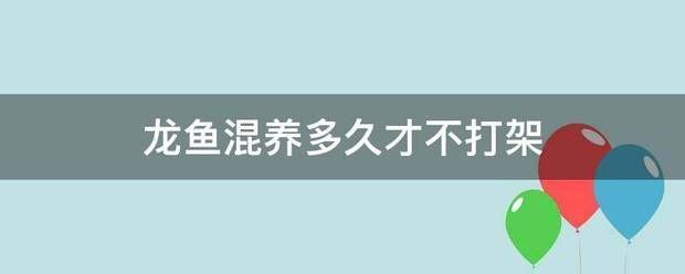 龍魚泛白是什么原因：龍魚混養(yǎng)多久才不打架 龍魚泛白是什么原因：龍魚混養(yǎng)多久才不打架 龍魚百科 第8張