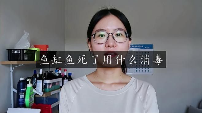 龍魚死亡后如何徹底消毒魚缸？