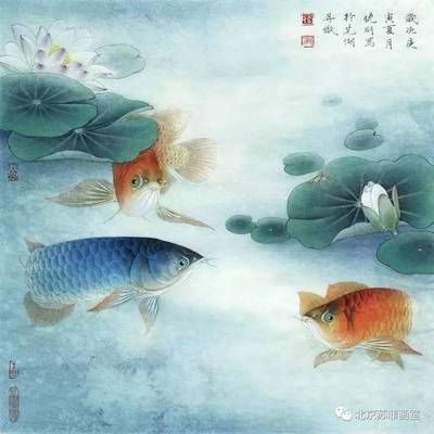龍魚怎么畫？（龍魚的繪畫技巧包括選擇適合你的畫材和工具和工具）