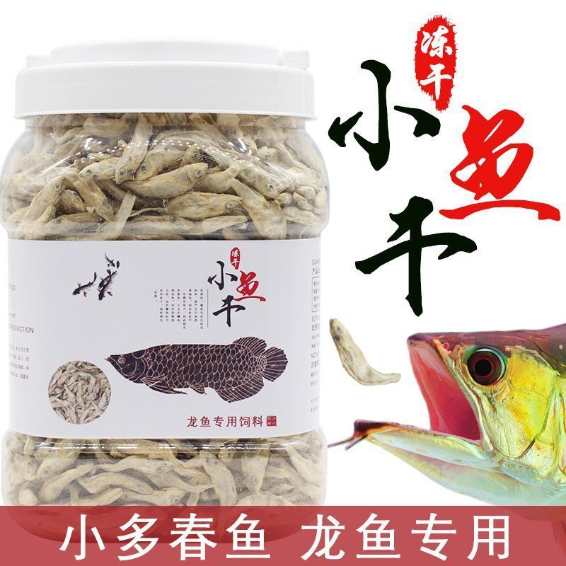 龍魚混養魚多了會掉眼嗎怎么辦：如何判斷龍魚是否營養不良
