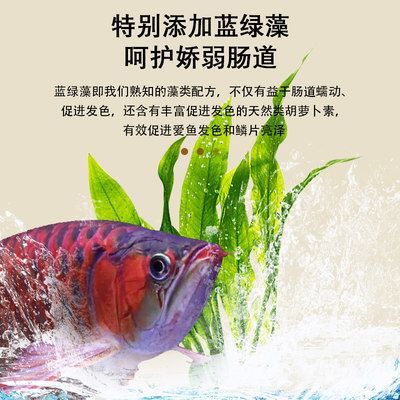 龍魚發色飼料配方表大全（龍魚發色飼料配方表）