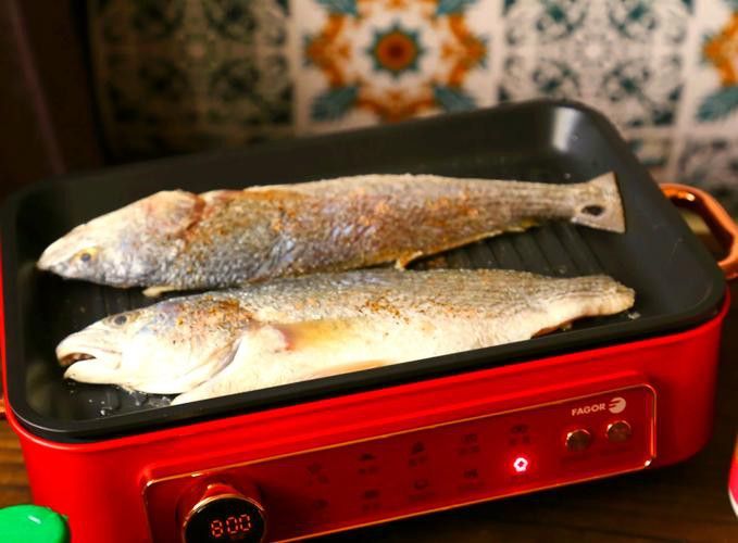 如何選擇適合金龍魚的食物 如何選擇適合金龍魚的食物 龍魚百科 第2張