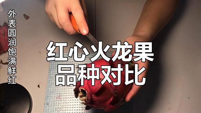 哪個品種的紅龍最好吃？