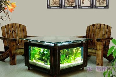 店鋪魚缸放在哪里最旺財（魚缸養什么魚最旺財）