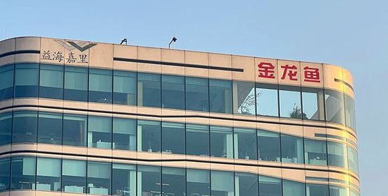 金龍魚產值多少億人民幣：金龍魚產值情況如何