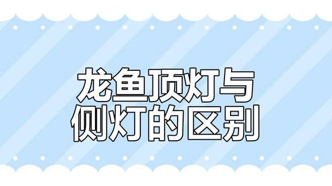 養龍魚魚缸燈最適合放在什么位置好呢