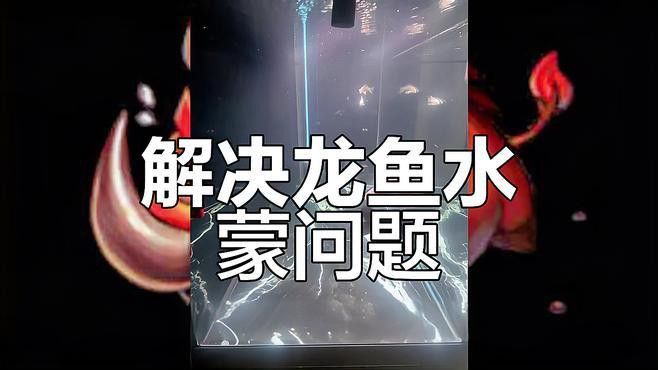 養龍魚過濾材料哪種好用點