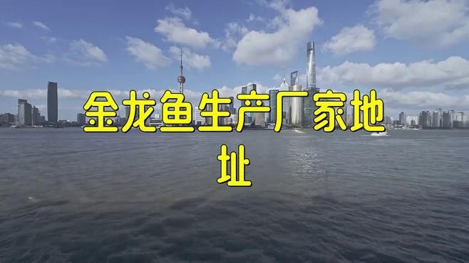 金龍魚是哪個(gè)廠家生產(chǎn)的好 金龍魚是哪個(gè)廠家生產(chǎn)的好 龍魚百科 第2張