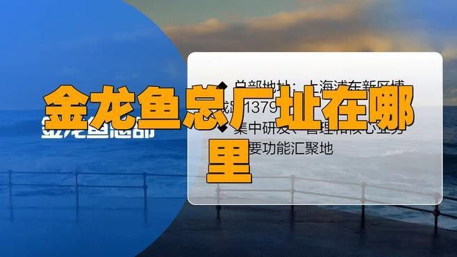 金龍魚是哪個(gè)廠家生產(chǎn)的好 金龍魚是哪個(gè)廠家生產(chǎn)的好 龍魚百科 第4張