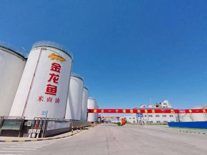 金龍魚是哪個(gè)廠家生產(chǎn)的好 金龍魚是哪個(gè)廠家生產(chǎn)的好 龍魚百科 第8張