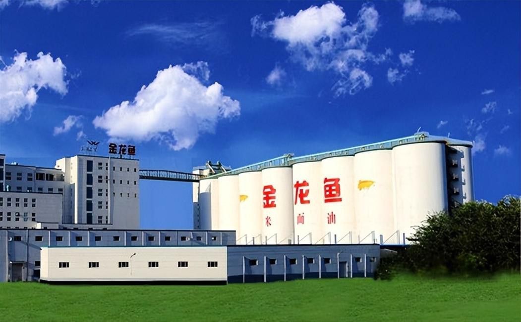 金龍魚是哪個(gè)廠家生產(chǎn)的好 金龍魚是哪個(gè)廠家生產(chǎn)的好 龍魚百科 第11張