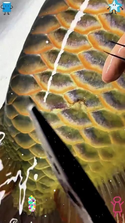 龍魚各種病圖解