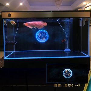 龍魚缸要貼背景圖嗎：30篇龍魚缸背景圖推薦龍魚缸背景圖推薦龍魚缸背景圖 龍魚缸要貼背景圖嗎：30篇龍魚缸背景圖推薦龍魚缸背景圖推薦龍魚缸背景圖 龍魚百科 第2張