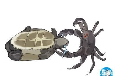 金龍魚吃烏龜：金龍魚吃烏龜嗎？