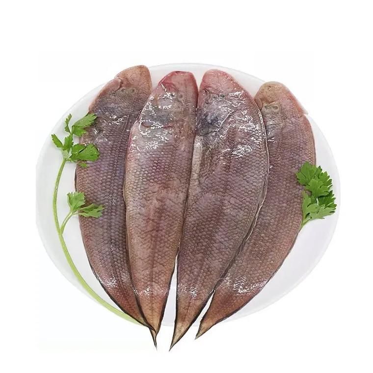 龍利魚照片 龍利魚照片 龍魚百科 第6張