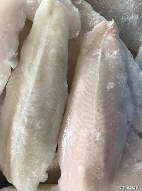 龍利魚照片 龍利魚照片 龍魚百科 第26張