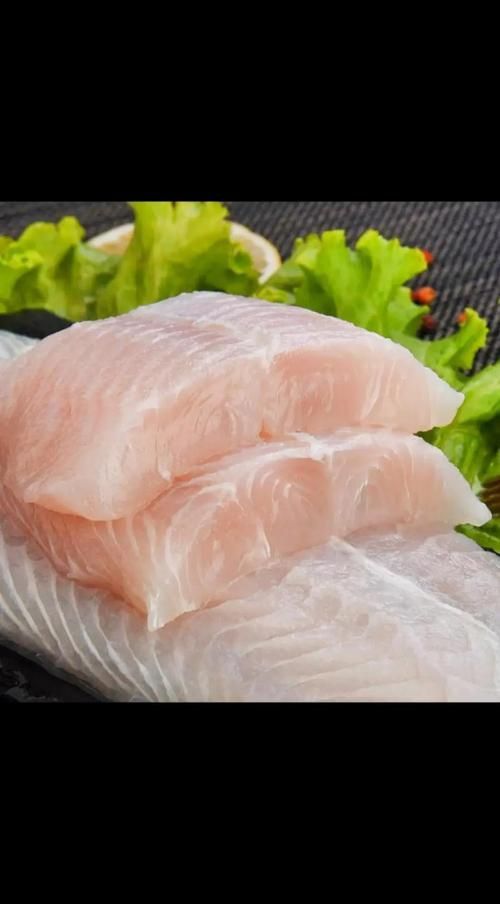 龍利魚照片 龍利魚照片 龍魚百科 第24張