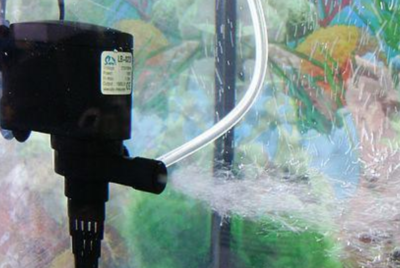 紅龍魚增色食物有哪些呢圖片（紅龍魚增色食物有哪些呢圖片大全） 紅龍魚增色食物有哪些呢圖片（紅龍魚增色食物有哪些呢圖片大全） 龍魚百科