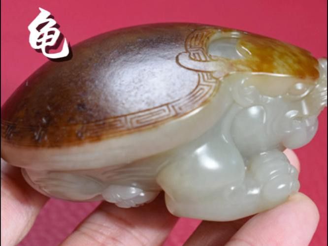 龍魚應該怎么養才好 龍魚應該怎么養才好 龍魚百科 第3張