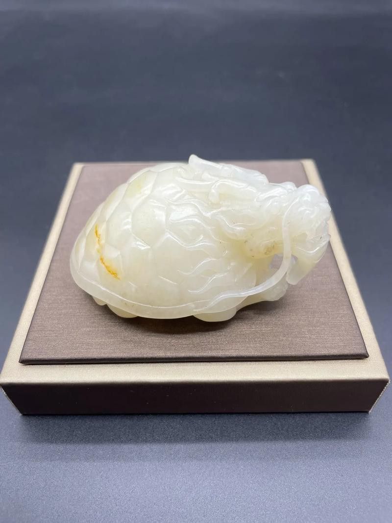 龍魚應該怎么養才好 龍魚應該怎么養才好 龍魚百科 第4張