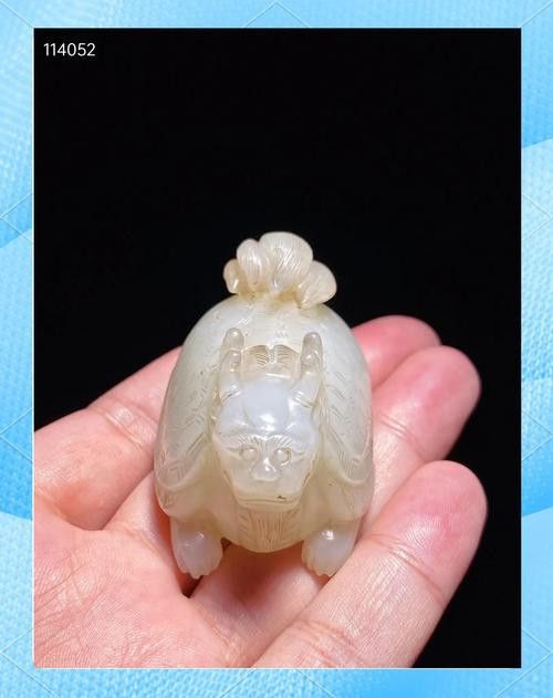 龍魚應該怎么養才好 龍魚應該怎么養才好 龍魚百科 第6張