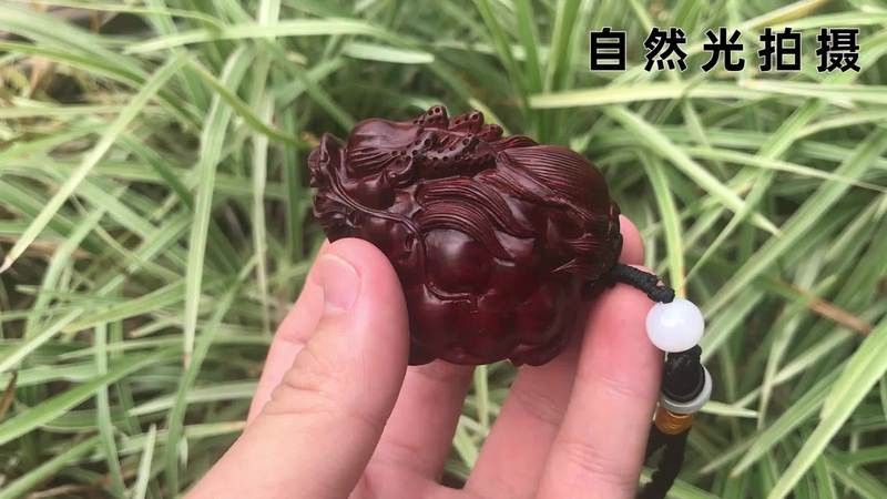 龍魚應該怎么養才好 龍魚應該怎么養才好 龍魚百科 第8張