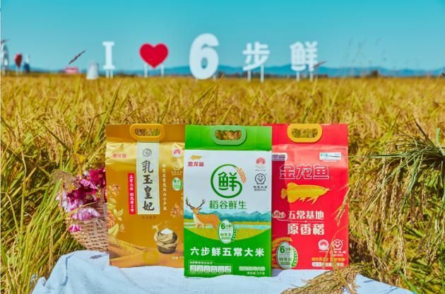 金龍魚比賽評判標準是什么：中國金魚比賽評判標準 金龍魚比賽評判標準是什么：中國金魚比賽評判標準 龍魚百科 第6張