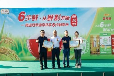金龍魚比賽評判標準是什么：中國金魚比賽評判標準 金龍魚比賽評判標準是什么：中國金魚比賽評判標準 龍魚百科 第5張