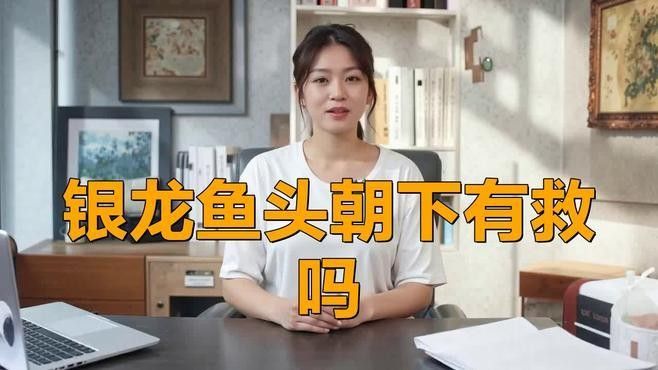 銀龍魚趴缸底怎么辦