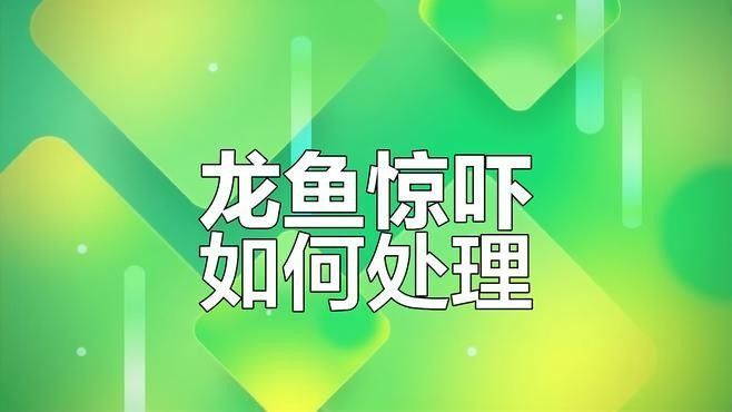 龍魚受驚嚇的解決方法