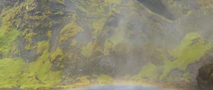 金龍魚出生地