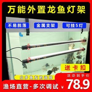 紅龍魚必須用側燈嗎（養龍魚用側燈好還是頂燈好）