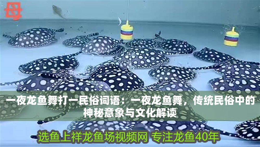 一夜龍魚舞打一民俗詞語：一夜龍魚舞，傳統民俗中的神秘意象與文化解讀