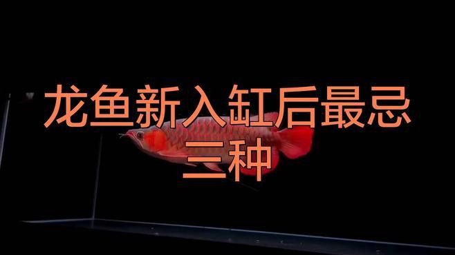 如何控制金龍魚(yú)的食量？